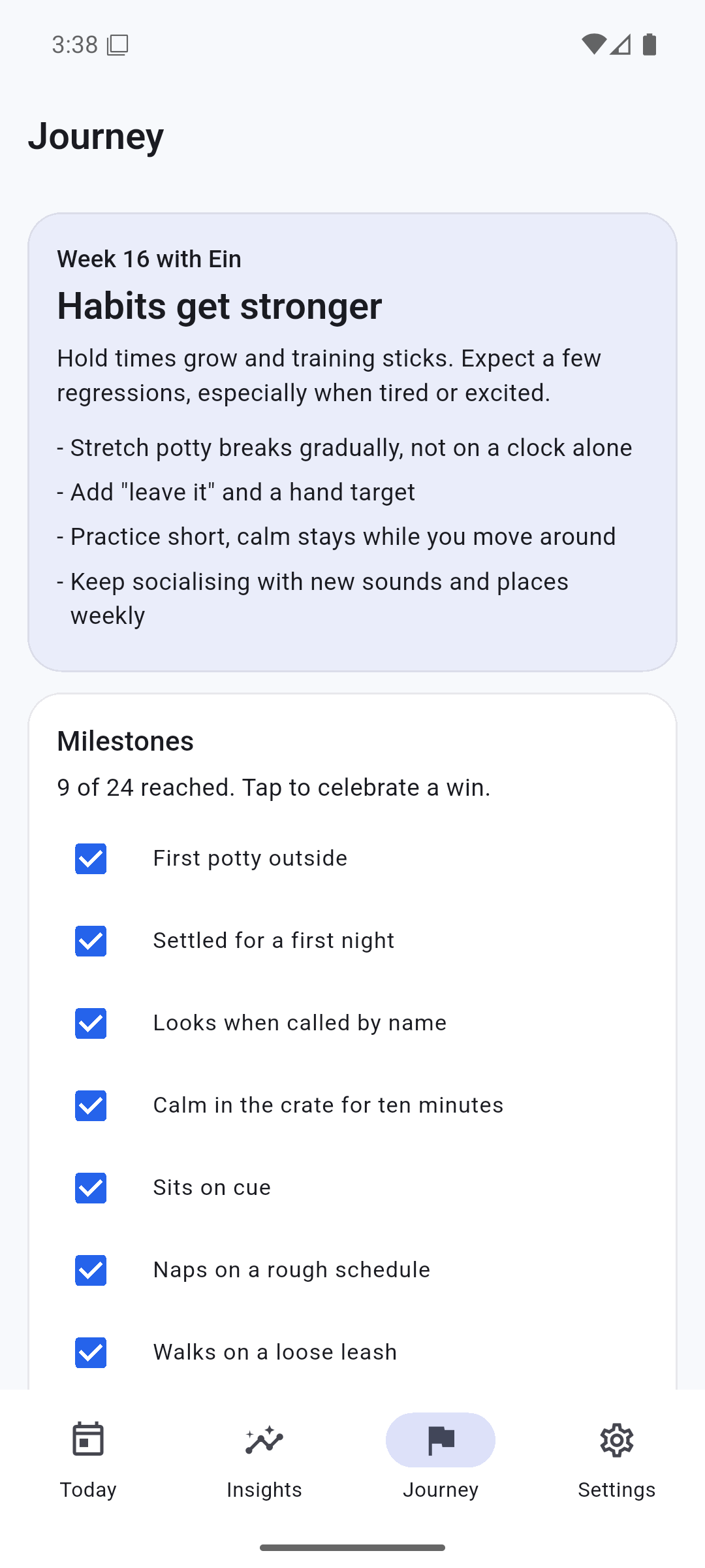 Journey screen with age-based guidance and milestones